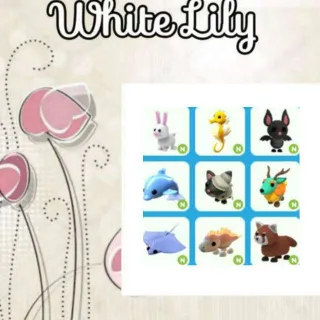 Neon Pets Mix X9