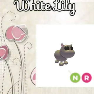 NR Hippo