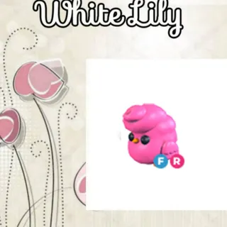FR Candy Floss
