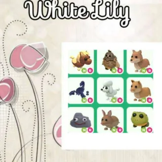 NR Pets Mix X9