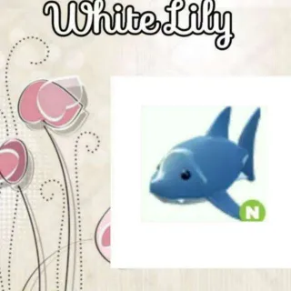 N Shark