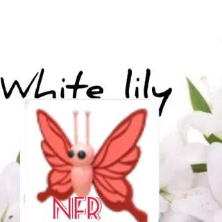 Pet | NFR Scarlet Butterfly