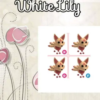 Kitsune X4