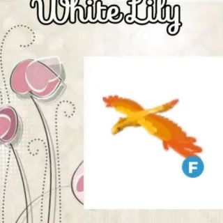 Fly Phoenix