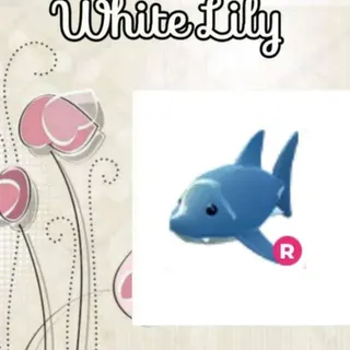 R Shark