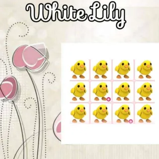Chick X12