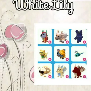 Ride Pets Mix X9