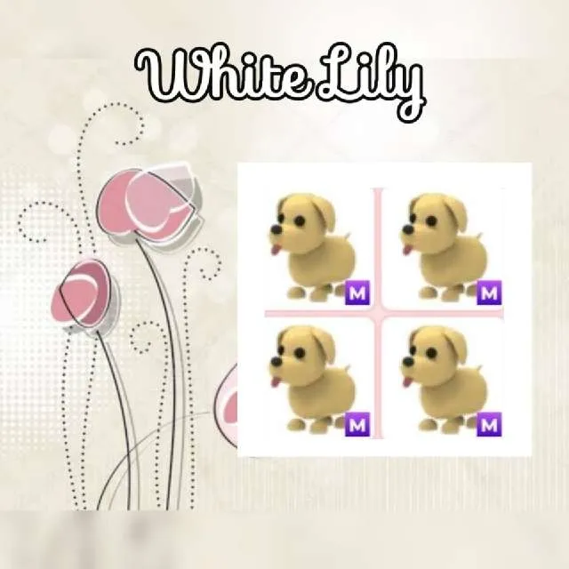 รายการภาพถ่าย