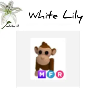 MFR Monkey