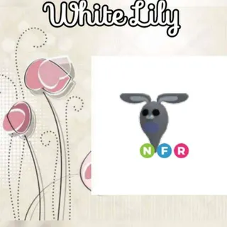 NFR Ghost Bunny