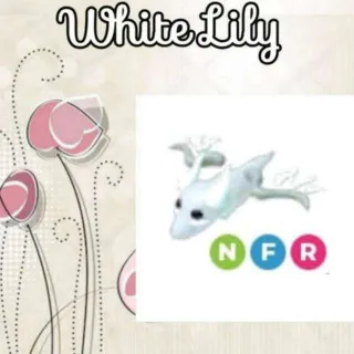 NFR Ghost Dragon