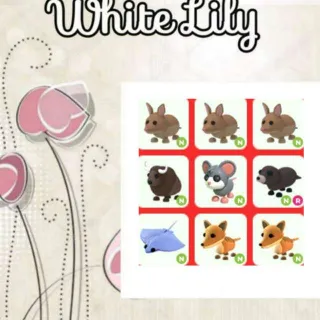 Neon Pets Mix X9