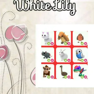 NR Pets Mix X9