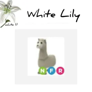 NFR Llama