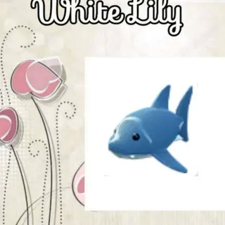 Shark