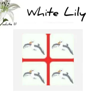 Albatross X4