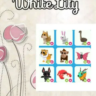 NR Pets X9