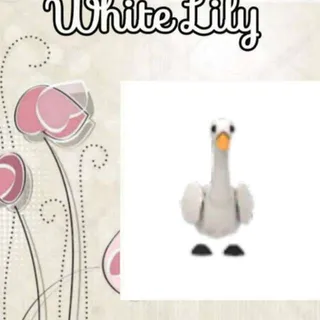 Swan