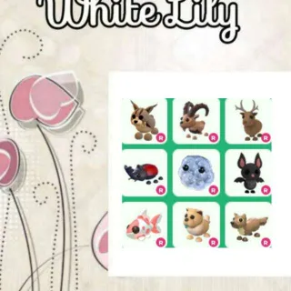 Ride Pets X9