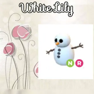 NR Snowman