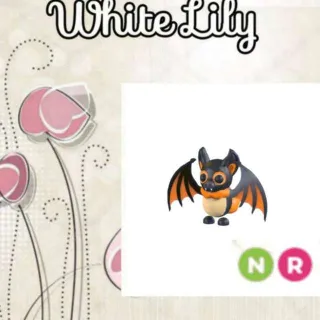 NR Indian Flying Fox