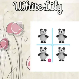 Panda X4