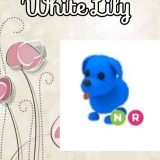 NR Blue Dog