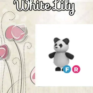 FR Panda