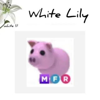 MFR Pig