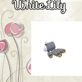 2022 Birthday Confetti Cannon
