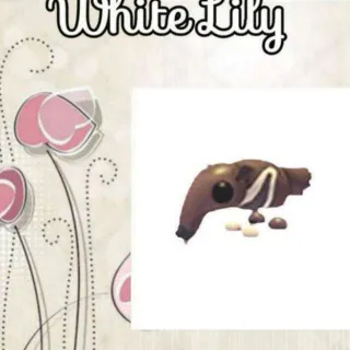 Giant Anteater