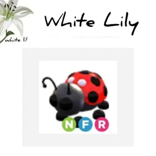 NFR Ladybug