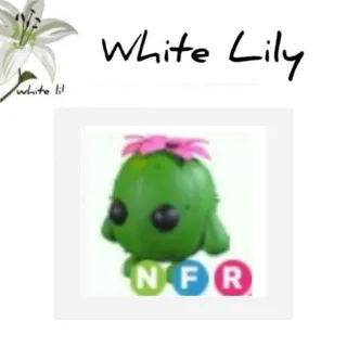 NFR Cactus Friend