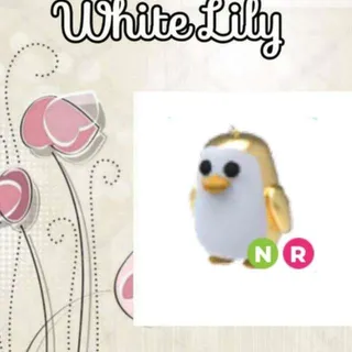 NR Golden Penguin