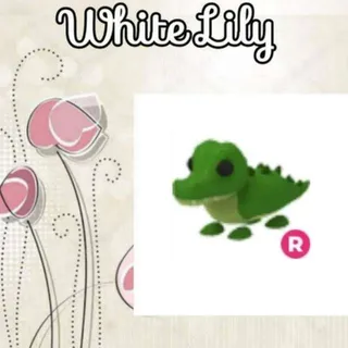 R Crocodile