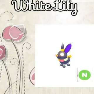 N Rice Cake Rabbit