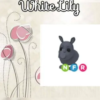 NFR Rhino