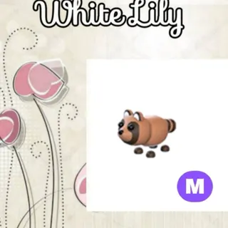 M Tanuki