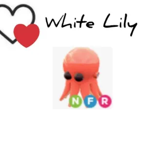 Pet | NFR Octopus