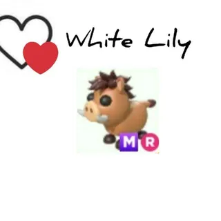 Pet | MR Warthog