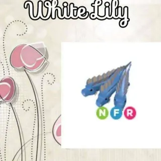 NFR Hydra