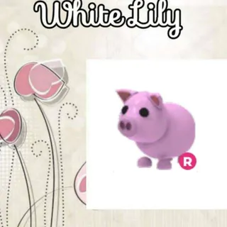 R Pig