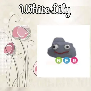 NFR Rock