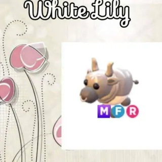 MFR Metal Ox