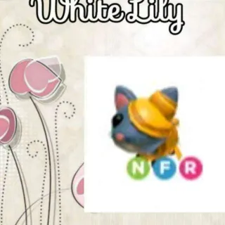 NFR Golden Mummy Cat