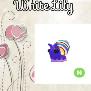 N Candy Cane Snail