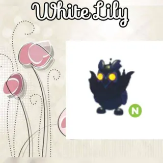 N Nightmare Owl