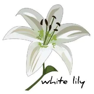 White Lily Shop🌸