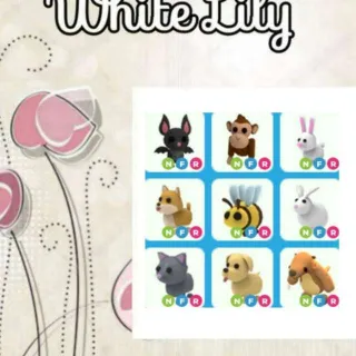 NFR Pets X9