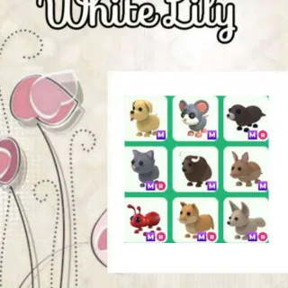 Mega Pets X9